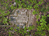 Cmentarz żydowski w Wiskitkach; Fot. Meteor2017, udostępnione na commons.wikimedia.org 16.05.2006 na licencji Creative Commons.