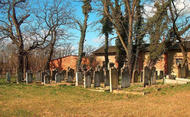 Cmentarz żydowski w Ścinawie