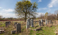 Cmentarz żydowski w Koronowie