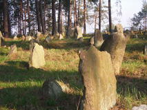 Cmentarz tatarski - Studzianka