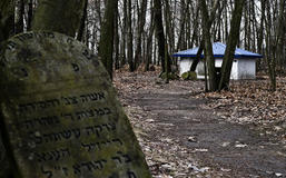 Cmentarz żydowski w Kocku