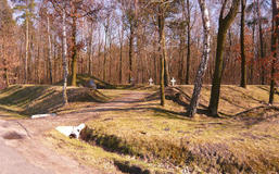 Cmentarz wojenny w Borzechowie
