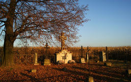 Cmentarz wojenny nr 333 w Cichawie
