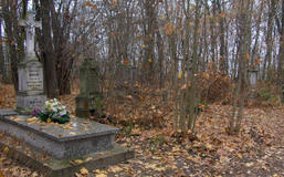 Stary Cmentarz w Jedlni