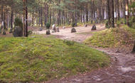 Cmentarzysko w Węsiorach