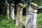 Cmentarz mennonicki w Stogach Fot. autorstwa Szymon Nitki, udostępnione na wikipedia.pl 18.04.2009 na licencji Creative Commons. 