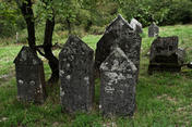 Cmentarz żydowski w Chęcinach; Fot. autorstwa Nikodema Nijakiego, udostępnione na wikipedia.pl 07.09.2012 na licencji Creative Commons.