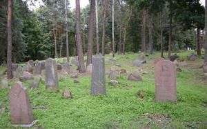 800px-Tatarian_Cemetery_Kruszyniany_Poland2_skalowane