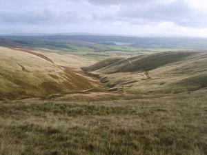 Above_Dunsop_Brook_-_geograph.org.uk_-_1519570