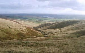 Above_Dunsop_Brook_-_geograph.org.uk_-_1519570_skalowane