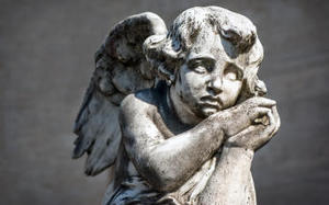 Karta Profesjonalisty