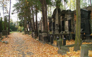 Marsz Wzajemnego Szacunku we Wrocławiu