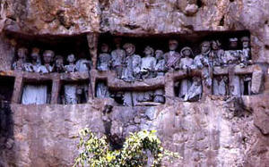 Pogrzeb w Tana Toraja