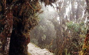 Rytuały pogrzebowe Inków