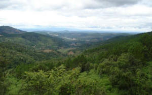 Rytuały pogrzebowe Wietnamczyków