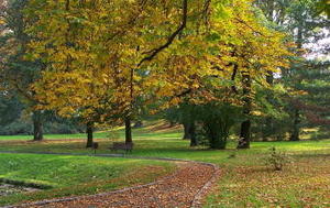 Święto Zmarłych w drodze
