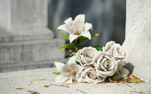 Tajemniczy nagrobek przewieziony do Szprotawy