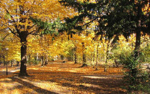 Wybitni na Cmentarzu w Zielonej Górze