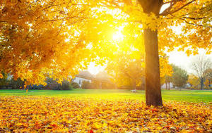 Wybitni Polacy, którzy zmarli w 2013 roku