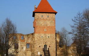 zamek w Chudowie