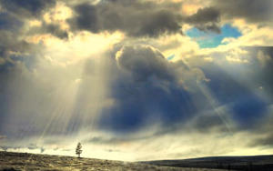 Złożono ciało Tomasza Kowalskiego