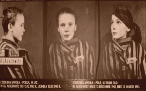 Zmarł fotograf Wilhelm Brasse