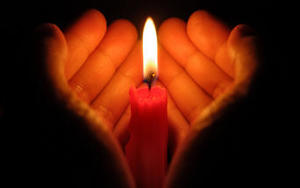 Zwłoki zmumifikowane w alkoholu