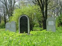 Cmentarz żydowski w Chełmie