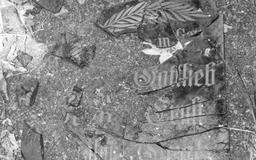 Płyta nagrobna rodziny Grak na cmentarzu poniemieckim w Bojadłach